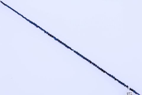 Strang Hematite, blau, Stern, 4mm, 40cm