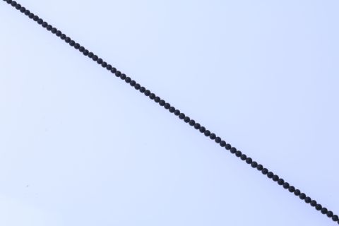 Strang Onyx, schwarz, oval, 13x16mm, 39cm