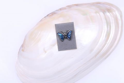 Brosche Paua ,blau silber,schmetterling